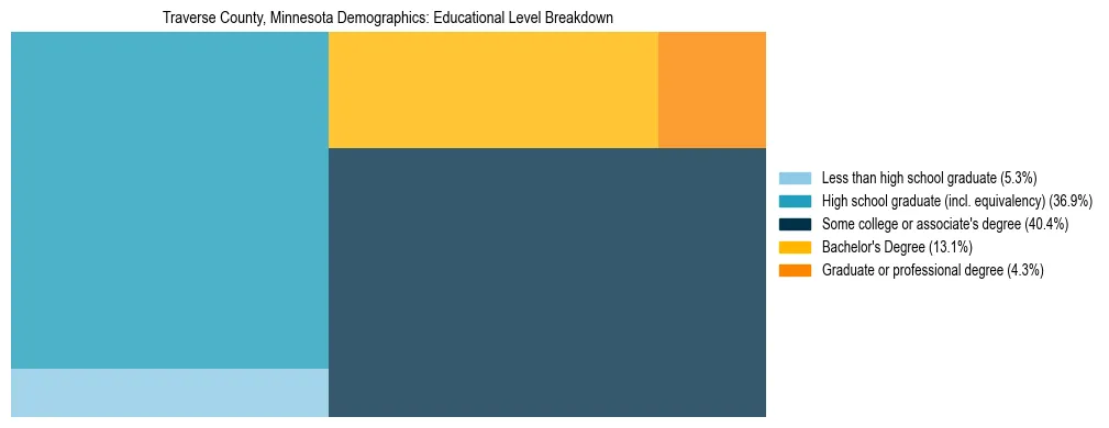 Treemap chart illustrating the educational attainment breakdown for population 25 years and over in Traverse County, Minnesota.