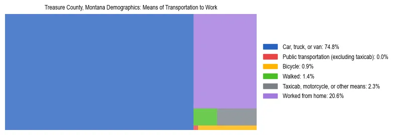 Treemap showing means of transportation to work distribution in Treasure County, Montana.