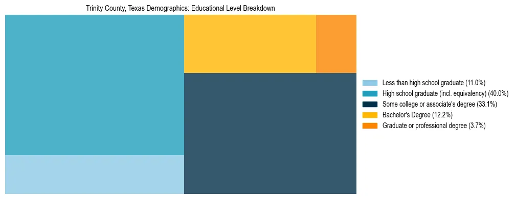 Treemap chart illustrating the educational attainment breakdown for population 25 years and over in Trinity County, Texas.