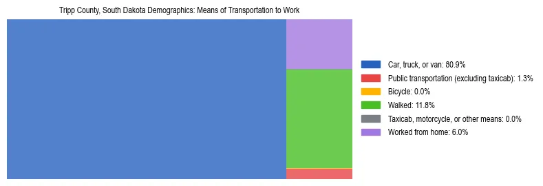 Treemap showing means of transportation to work distribution in Tripp County, South Dakota.