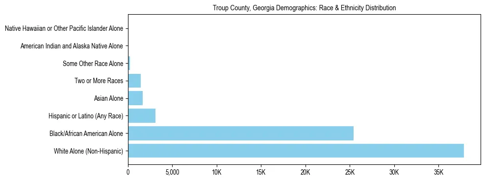 Race and Ethnicity Distribution Chart for Troup County, Georgia