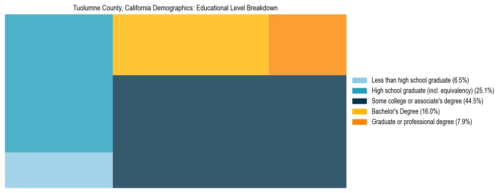 Treemap chart illustrating the educational attainment breakdown for population 25 years and over in Tuolumne County, California.