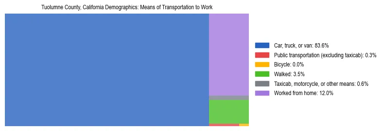 Treemap showing means of transportation to work distribution in Tuolumne County, California.