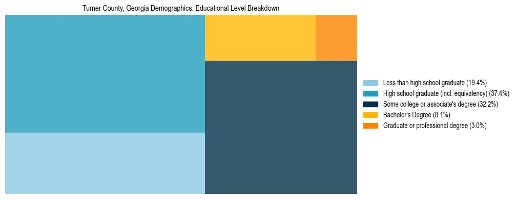 Treemap chart illustrating the educational attainment breakdown for population 25 years and over in Turner County, Georgia.