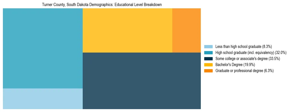 Treemap chart illustrating the educational attainment breakdown for population 25 years and over in Turner County, South Dakota.