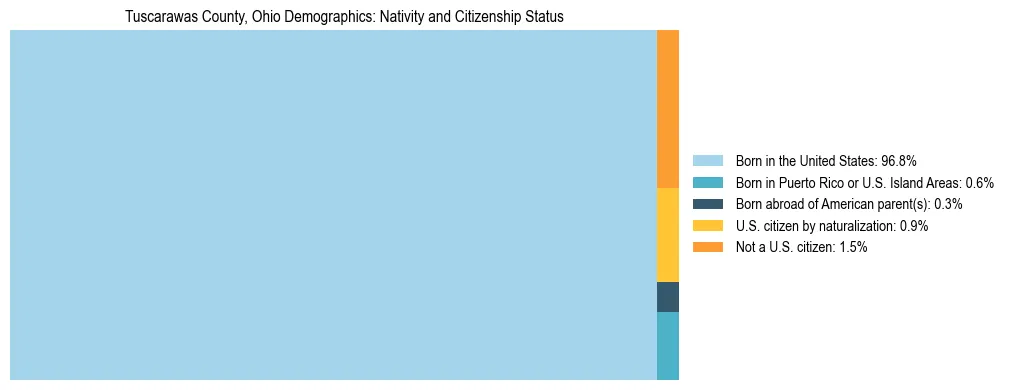 Treemap showing the population distribution by nativity and citizenship status in Tuscarawas County, Ohio based on U.S. Census data.