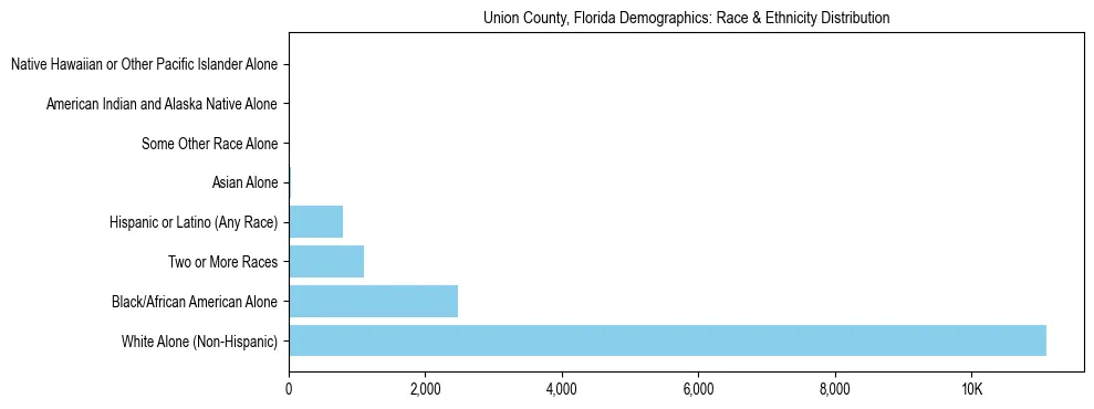 Race and Ethnicity Distribution Chart for Union County, Florida