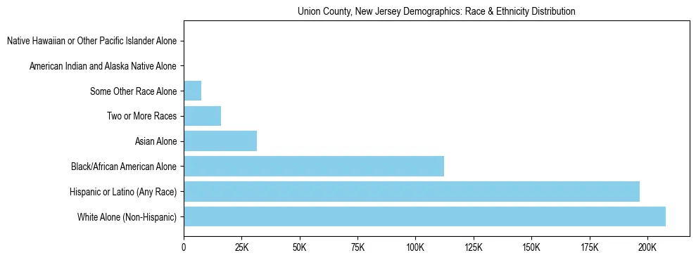 Race and Ethnicity Distribution Chart for Union County, New Jersey