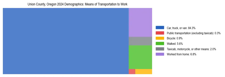Treemap showing means of transportation to work distribution in Union County, Oregon.