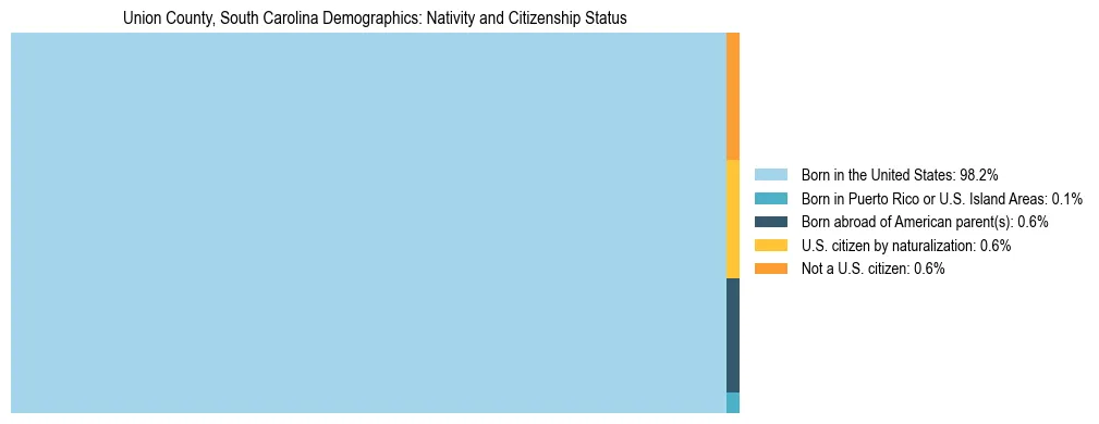 Treemap showing the population distribution by nativity and citizenship status in Union County, South Carolina based on U.S. Census data.