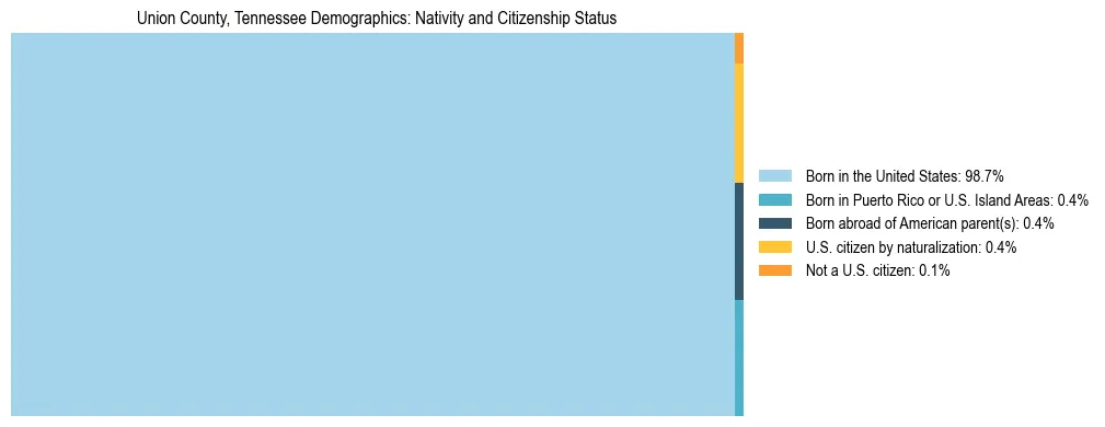 Treemap showing the population distribution by nativity and citizenship status in Union County, Tennessee based on U.S. Census data.