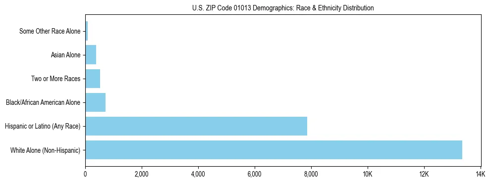 Race and Ethnicity Distribution Chart for US ZIP Code 01013