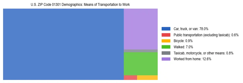 Treemap showing means of transportation to work distribution in US ZIP Code 01301.