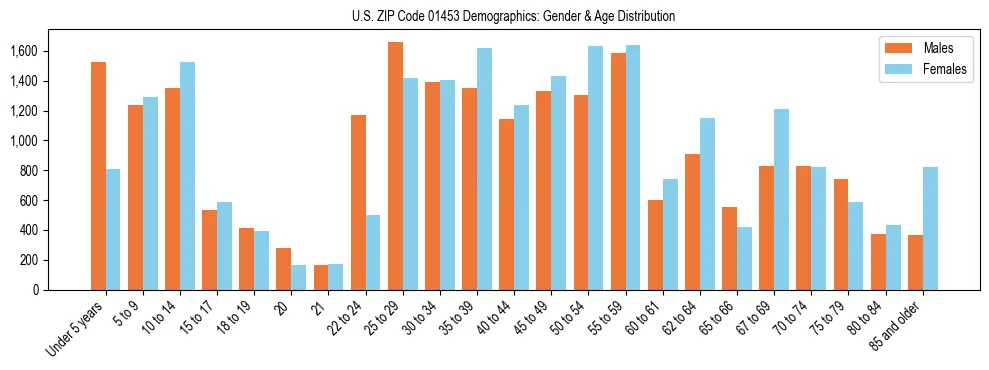 Bar chart showing the population distribution of US ZIP Code 01453 by age group and gender, based on 2023 ACS data.