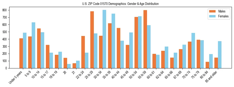Bar chart showing the population distribution of US ZIP Code 01570 by age group and gender, based on 2023 ACS data.