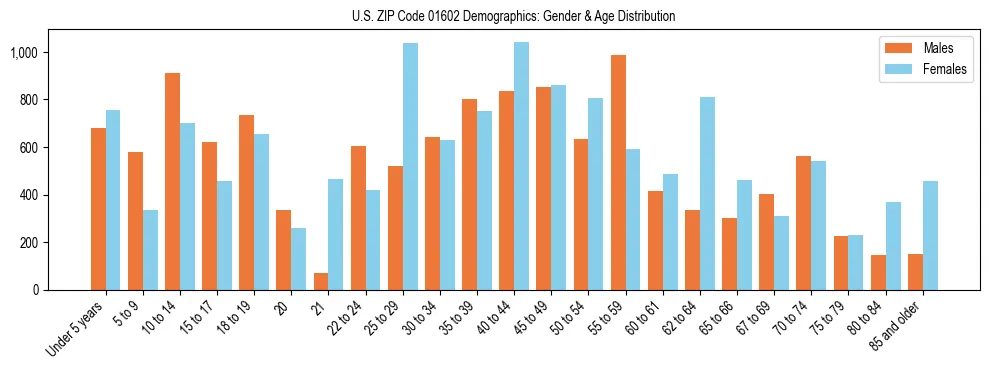 Bar chart showing the population distribution of US ZIP Code 01602 by age group and gender, based on 2023 ACS data.