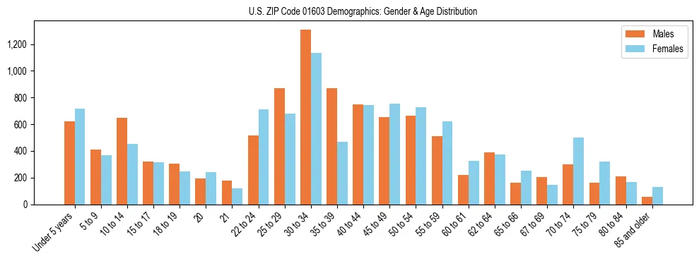 Bar chart showing the population distribution of US ZIP Code 01603 by age group and gender, based on 2023 ACS data.