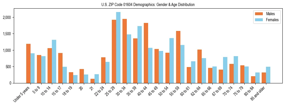 Bar chart showing the population distribution of US ZIP Code 01604 by age group and gender, based on 2023 ACS data.
