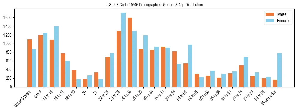 Bar chart showing the population distribution of US ZIP Code 01605 by age group and gender, based on 2023 ACS data.