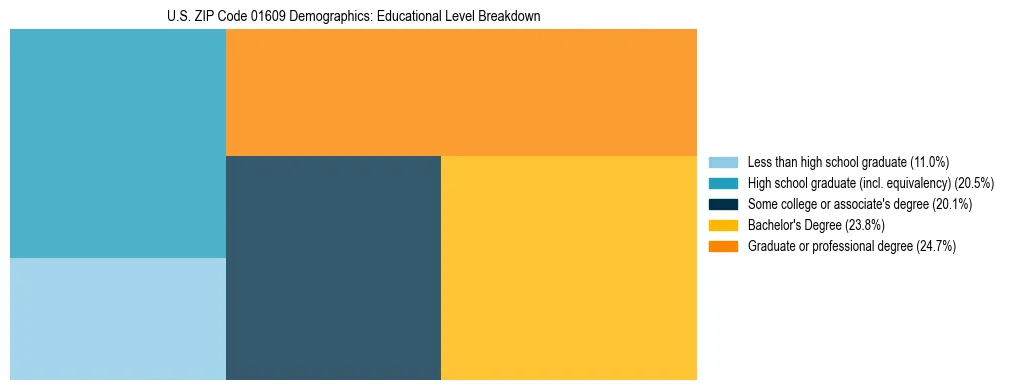 Treemap chart illustrating the educational attainment breakdown for population 25 years and over in US ZIP Code 01609.