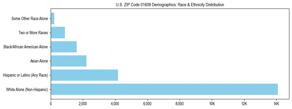 Race and Ethnicity Distribution Chart for US ZIP Code 01609