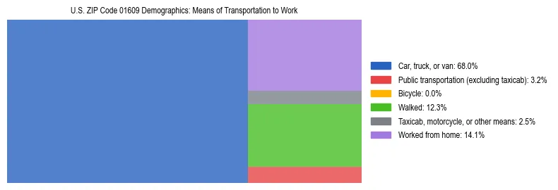 Treemap showing means of transportation to work distribution in US ZIP Code 01609.