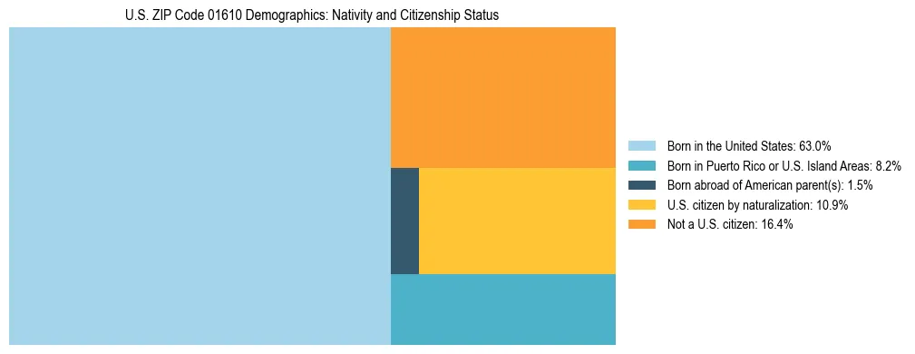 Treemap showing the population distribution by nativity and citizenship status in US ZIP Code 01610 based on U.S. Census data.