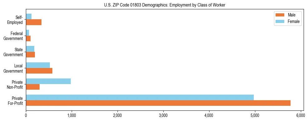 Horizontal bar chart showing employment distribution by class of worker and gender in US ZIP Code 01803, based on 2023 ACS data.