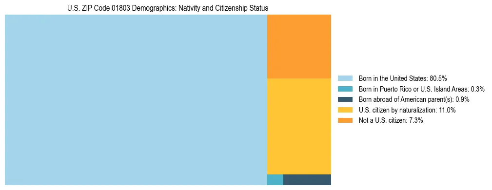 Treemap showing the population distribution by nativity and citizenship status in US ZIP Code 01803 based on U.S. Census data.