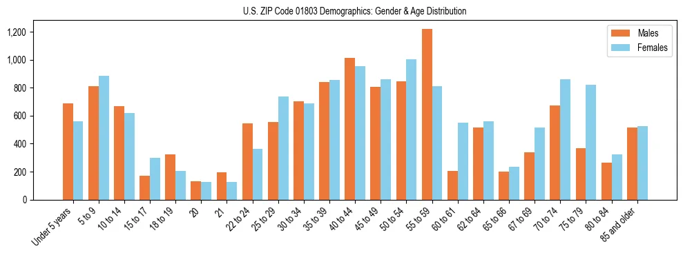 Bar chart showing the population distribution of US ZIP Code 01803 by age group and gender, based on 2023 ACS data.