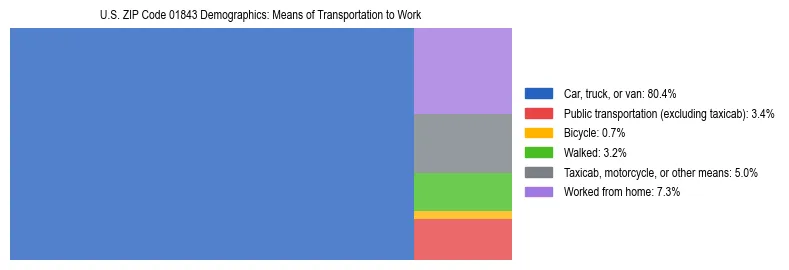 Treemap showing means of transportation to work distribution in US ZIP Code 01843.