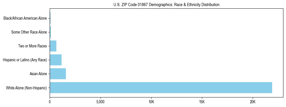 Race and Ethnicity Distribution Chart for US ZIP Code 01867