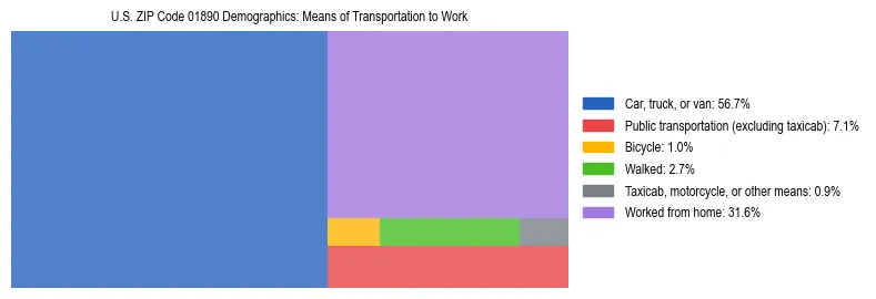 Treemap showing means of transportation to work distribution in US ZIP Code 01890.
