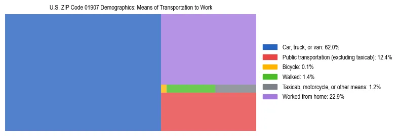 Treemap showing means of transportation to work distribution in US ZIP Code 01907.