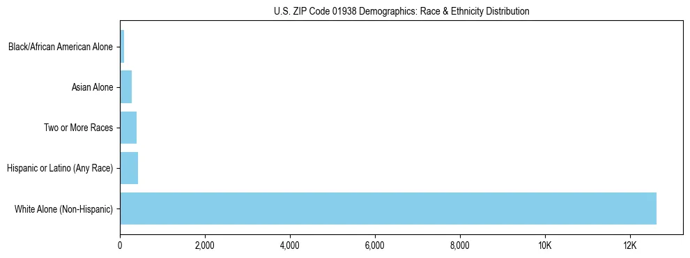 Race and Ethnicity Distribution Chart for US ZIP Code 01938
