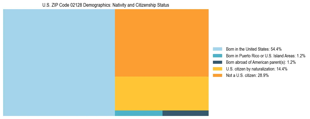 Treemap showing the population distribution by nativity and citizenship status in US ZIP Code 02128 based on U.S. Census data.