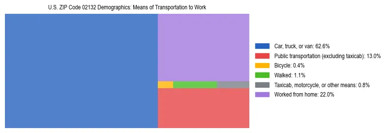 Treemap showing means of transportation to work distribution in US ZIP Code 02132.