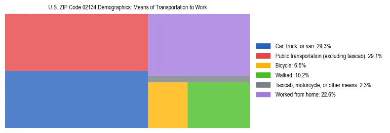 Treemap showing means of transportation to work distribution in US ZIP Code 02134.
