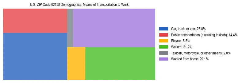 Treemap showing means of transportation to work distribution in US ZIP Code 02138.