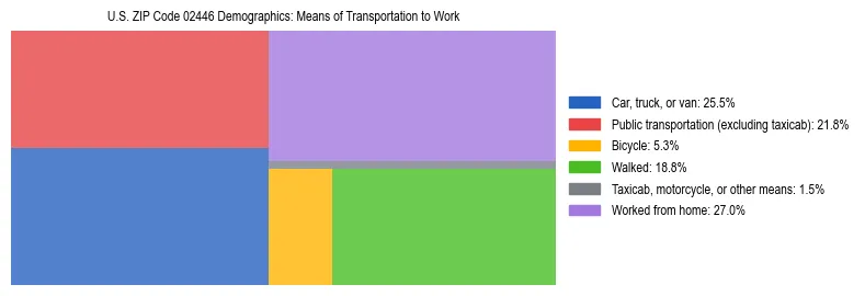 Treemap showing means of transportation to work distribution in US ZIP Code 02446.