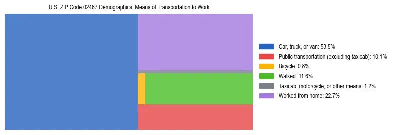 Treemap showing means of transportation to work distribution in US ZIP Code 02467.
