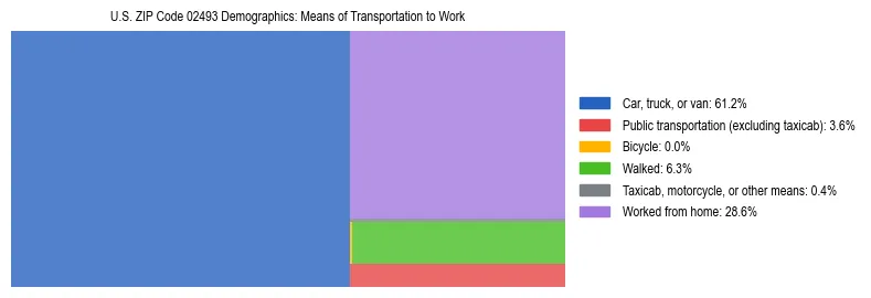 Treemap showing means of transportation to work distribution in US ZIP Code 02493.