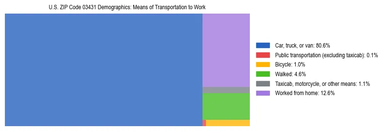 Treemap showing means of transportation to work distribution in US ZIP Code 03431.