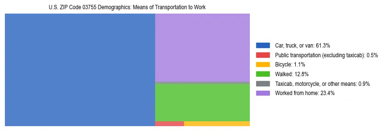 Treemap showing means of transportation to work distribution in US ZIP Code 03755.