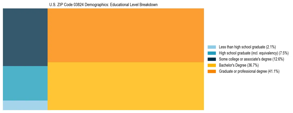 Treemap chart illustrating the educational attainment breakdown for population 25 years and over in US ZIP Code 03824.