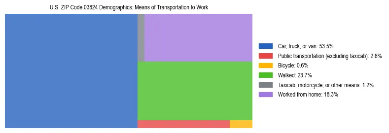 Treemap showing means of transportation to work distribution in US ZIP Code 03824.