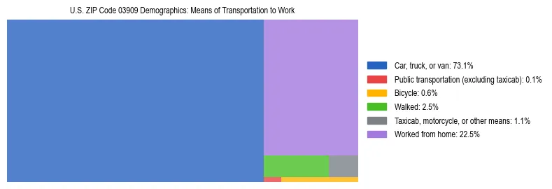 Treemap chart illustrating how workers in US ZIP Code 03909 commute to work based on 2023 ACS data.