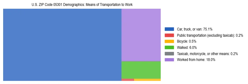 Treemap showing means of transportation to work distribution in US ZIP Code 05301.