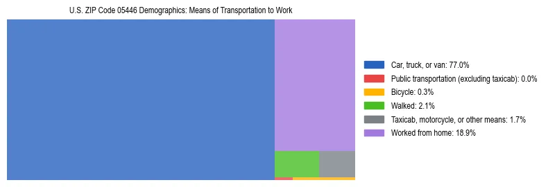Treemap showing means of transportation to work distribution in US ZIP Code 05446.