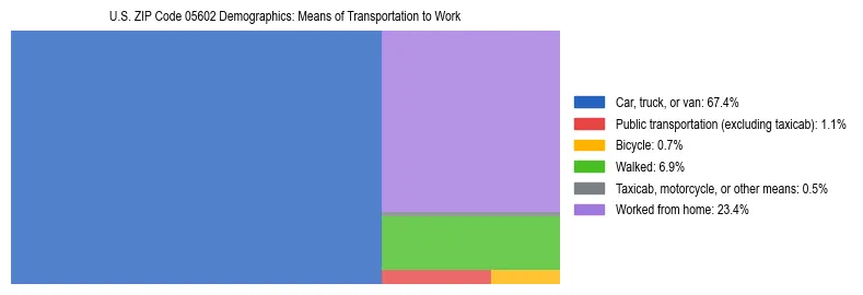 Treemap showing means of transportation to work distribution in US ZIP Code 05602.